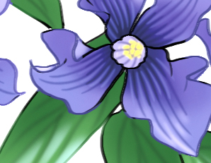 Thumbnail Editorial Flowers