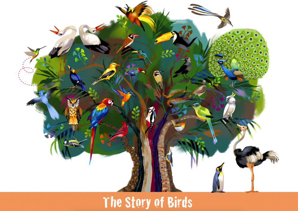 The Story of Birds Cover Image