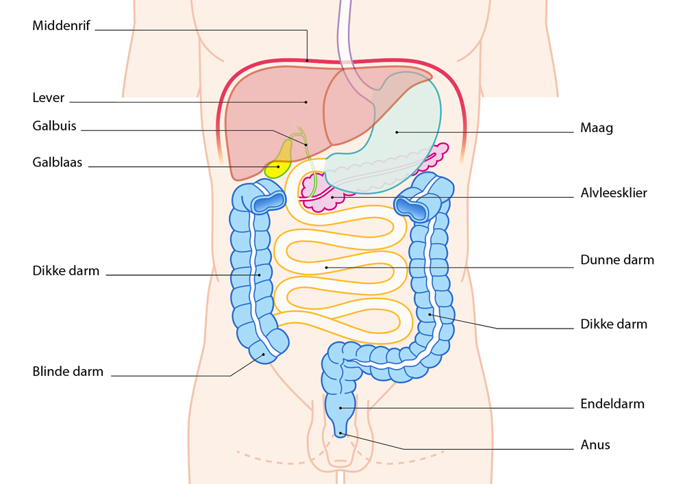 Educational Medical 10