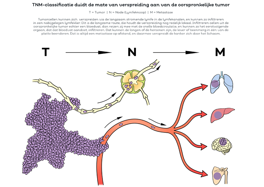 Educational Medical 13