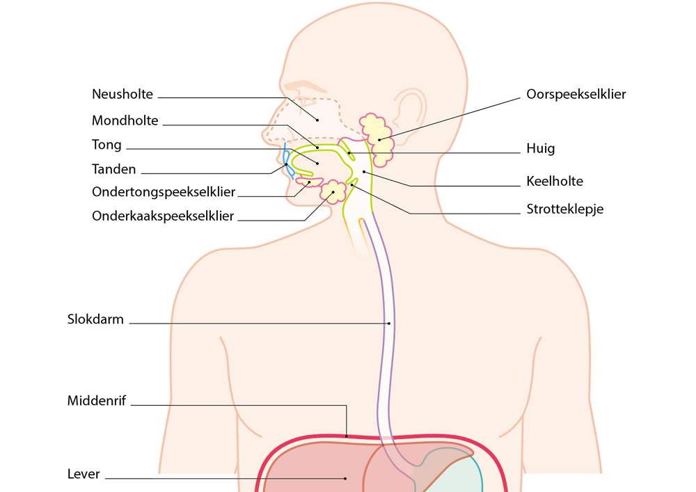 Educational Medical 9